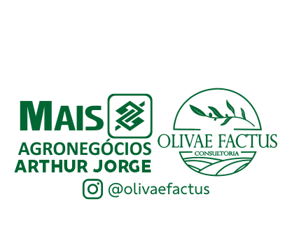 Mais BB Arthur Jorge